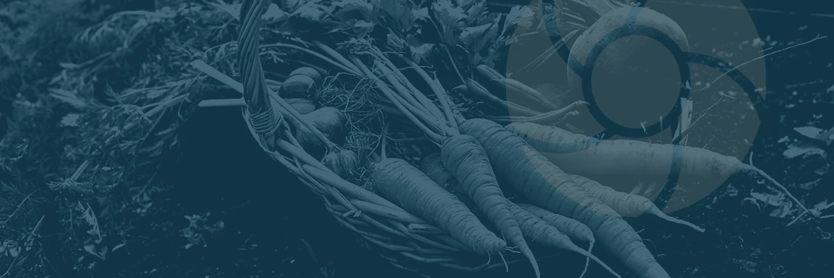 Basket of freshly harvested vegetables with a light logo overlay.
